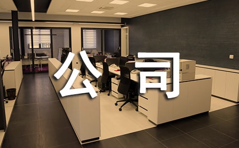 �ɶ���˾ע������